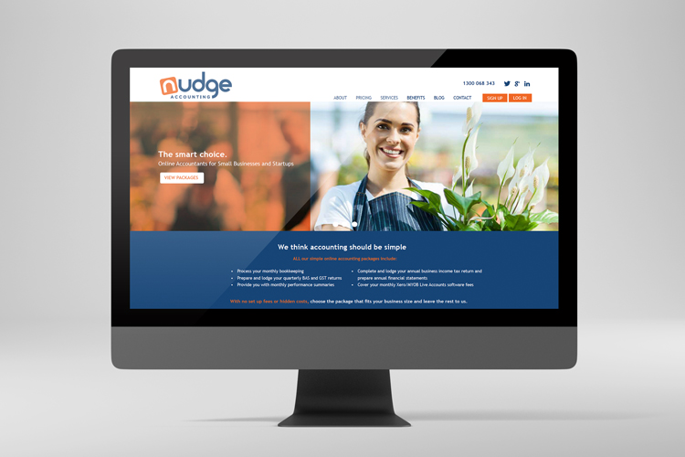 nudge accounting web