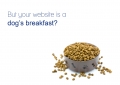 Looking for quality leads, but your website is a dog's breakfast?